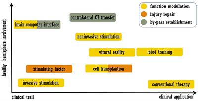 Enhancing Brain Plasticity to Promote Stroke Recovery